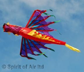 Fire Dragon Windsock