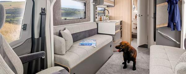Can I Travel with Pets in a Motorhome? A Guide for UK Owners