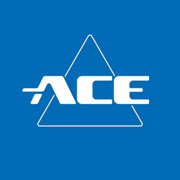 Ace Motorhomes Teaser Unveiled!