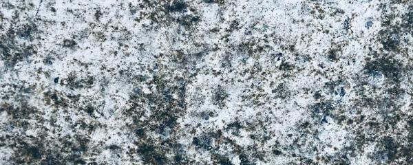 How To Remove Mould From An Awning