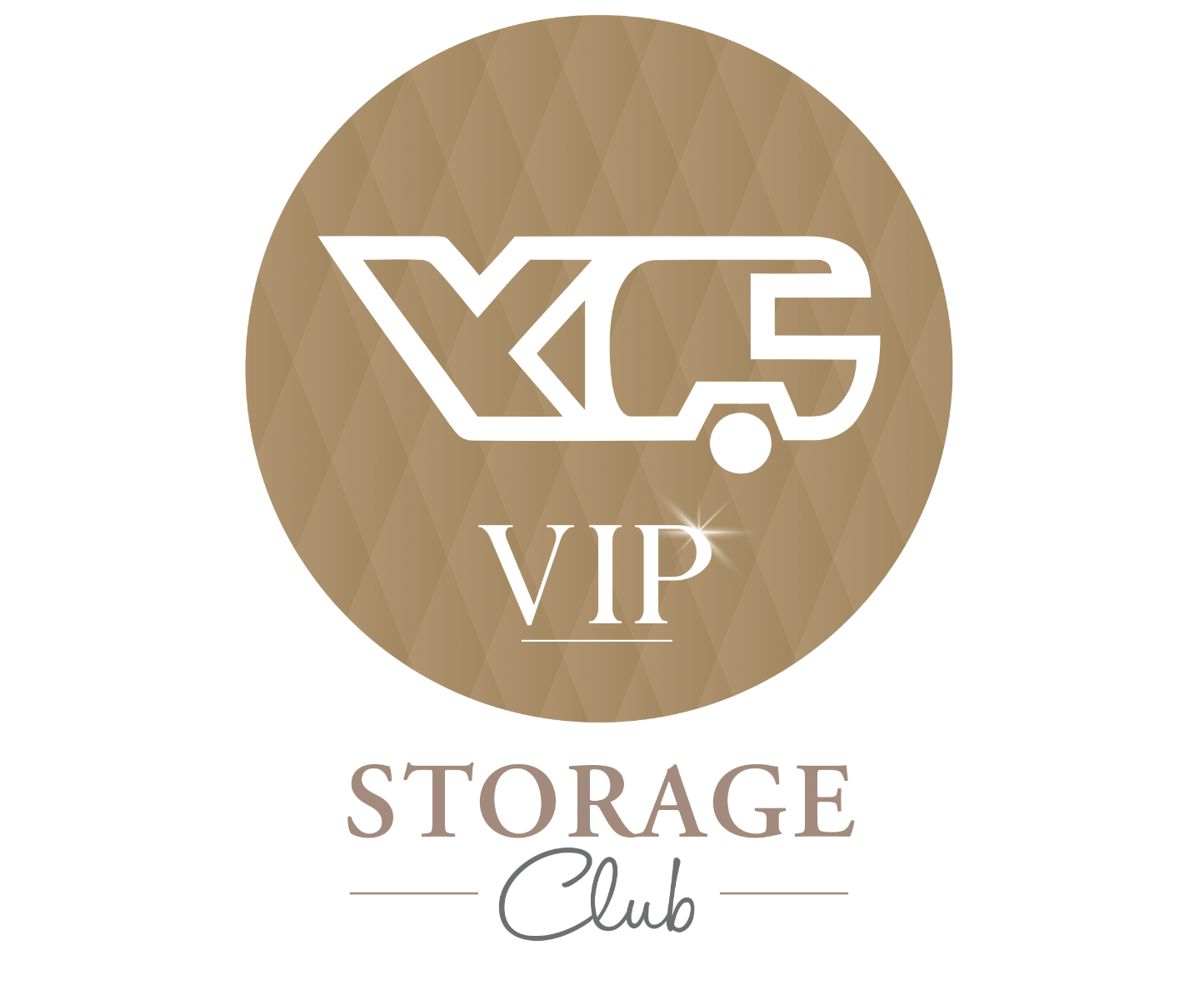 VIP Storage Club