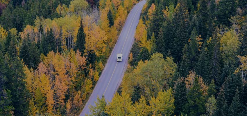 Motorhome on Road through Forest